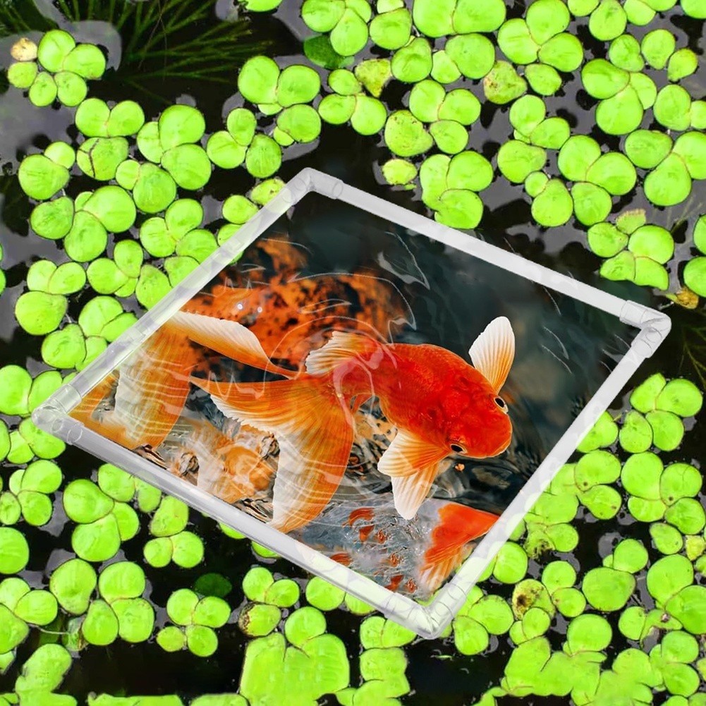 Aquarium Fish Zone - Enclos flottant pour plantes d'aquarium en