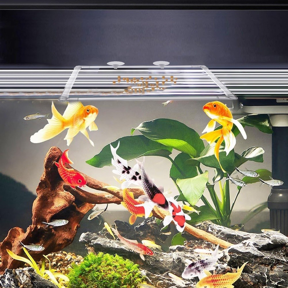 Aquarium Fish Zone - Enclos flottant pour plantes d'aquarium en