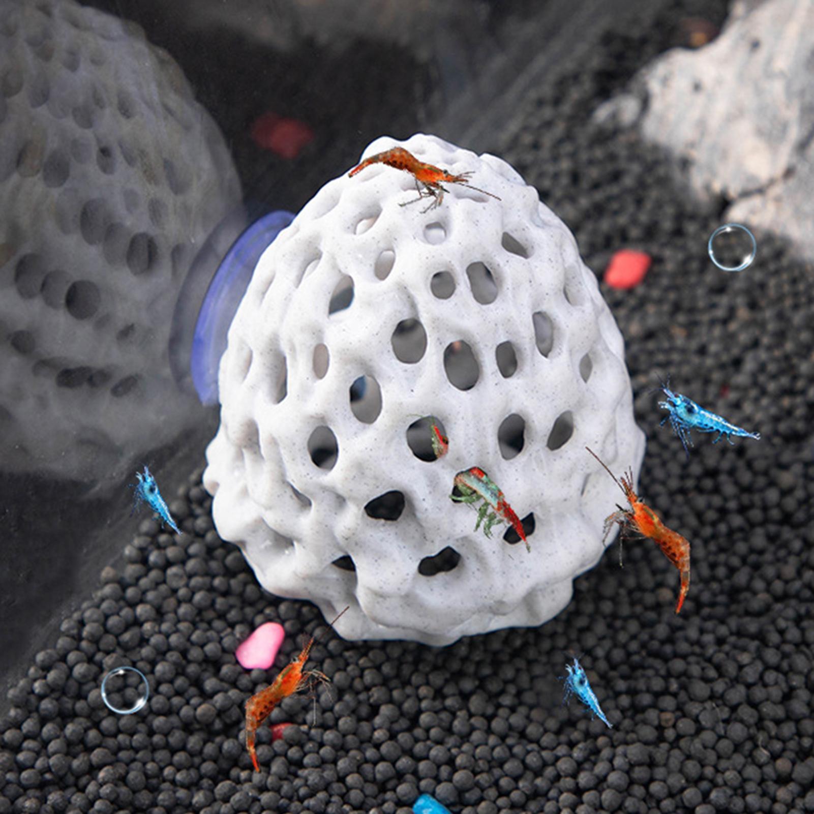 Aquarium Fish Hiding Spot - Aquarium crevettes maison grotte Mini poreux