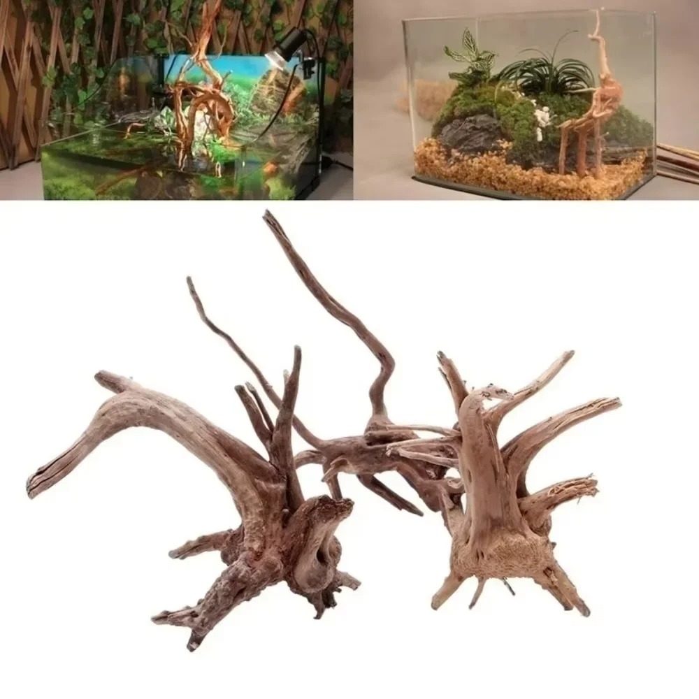 Aquarium Fish Farm - (15-20cm) Décoration d'aquarium en bois flotté