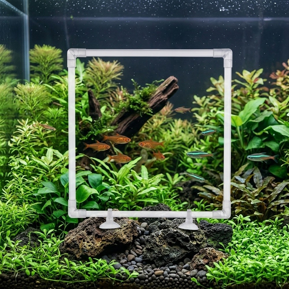 Aquarium Fish Zone - Enclos flottant pour plantes d'aquarium, adapté
