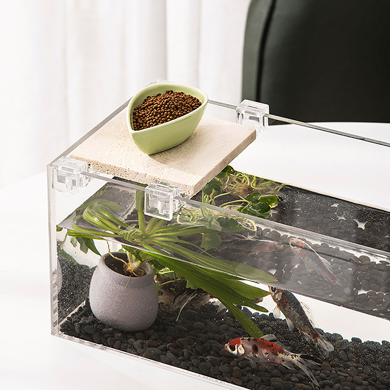 Support de couvercle d'aquariu - Aquarium Fish To Buy avis et prix