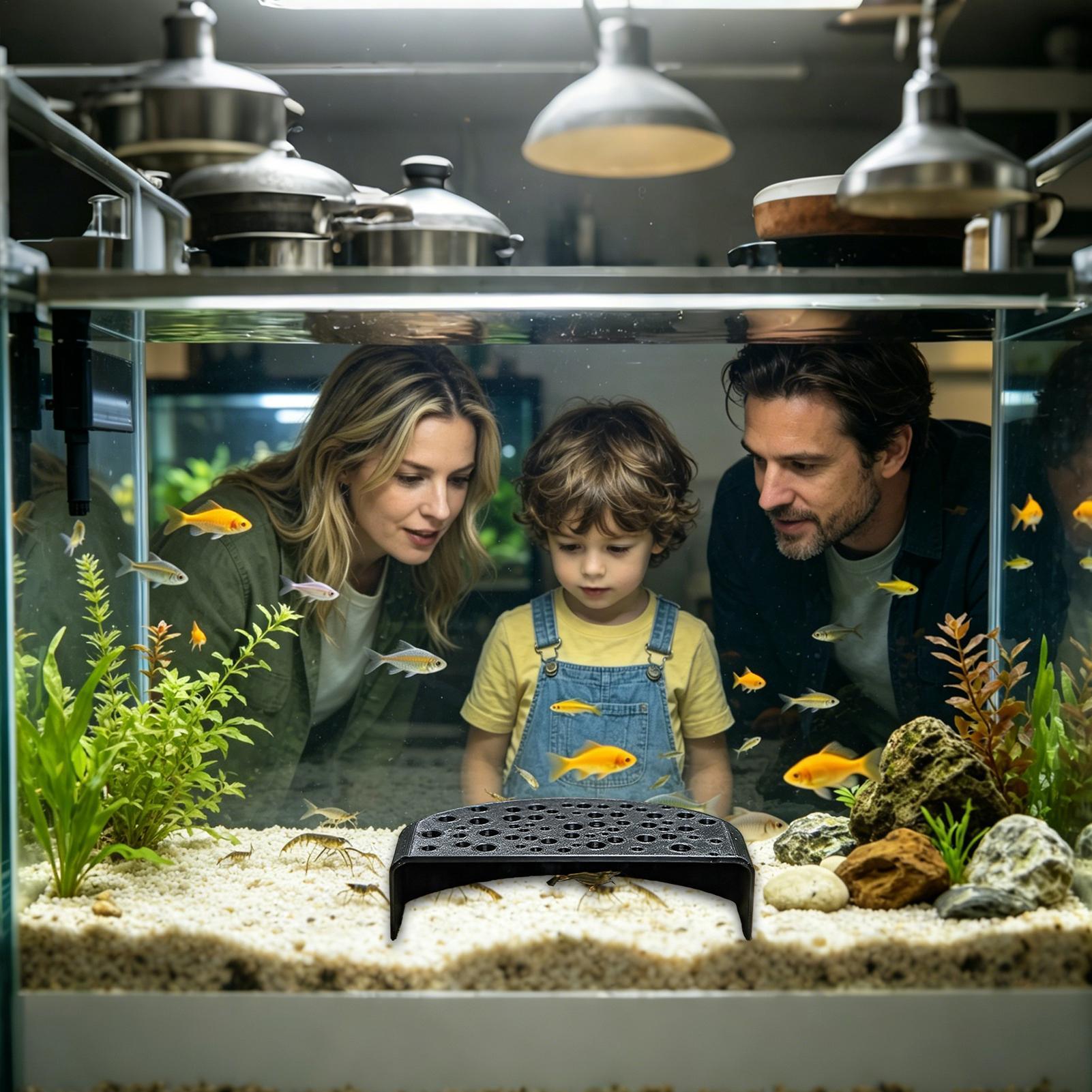 Ornement de repos aquatique po - Aquarium Fish Zone avis et prix