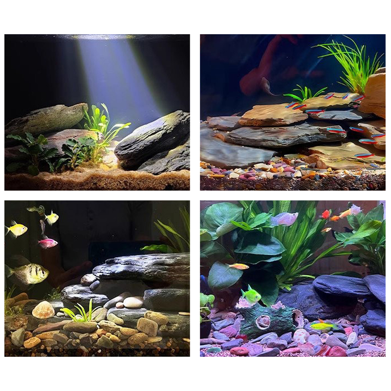 Kit de pierres paysagères pour - Aquarium Fish Farm avis et prix