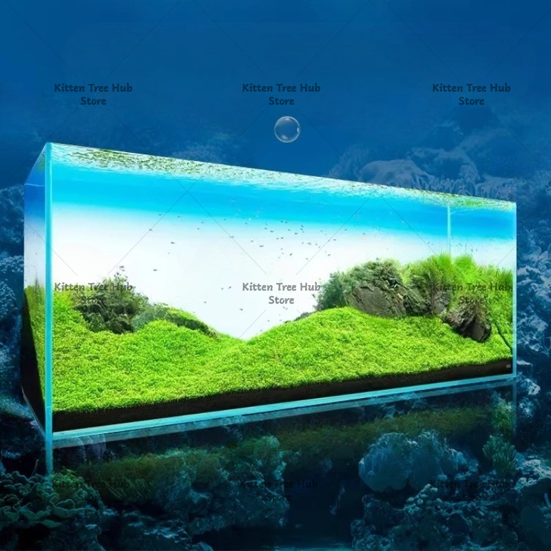 Panneau de fond pour aquarium  - Aquarium Fish Rainbow avis et prix