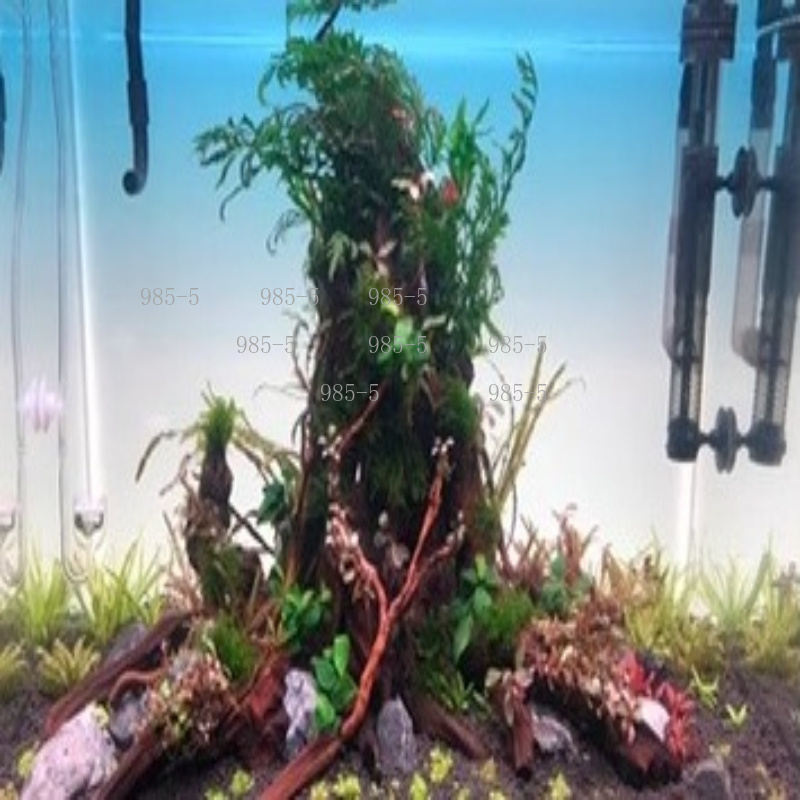 Panneau de fond lumineux en ac - Aquarium Fish Rainbow avis et prix