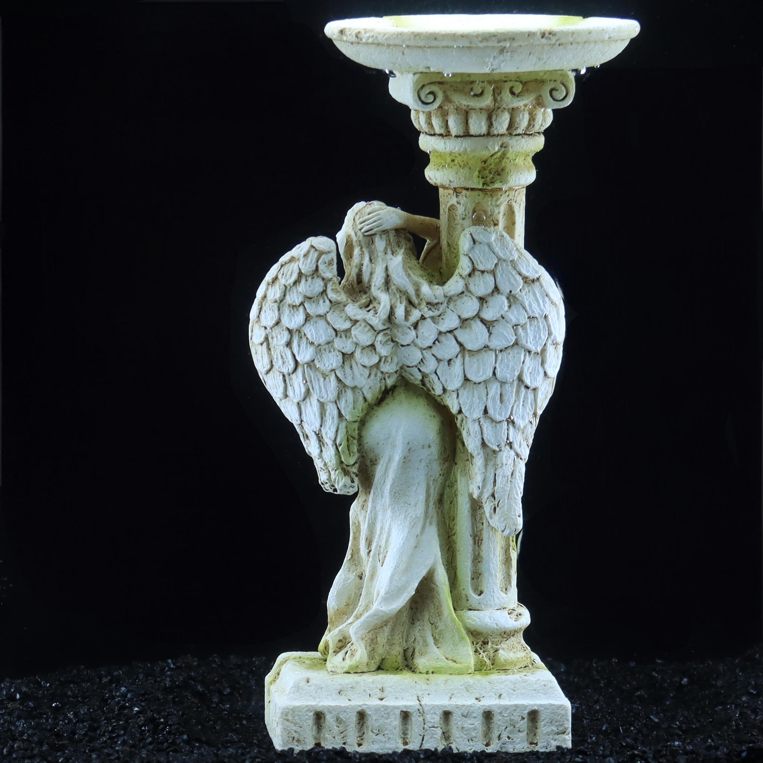 Ange romain, décoration romant - Aquarium Fish Angel avis et prix