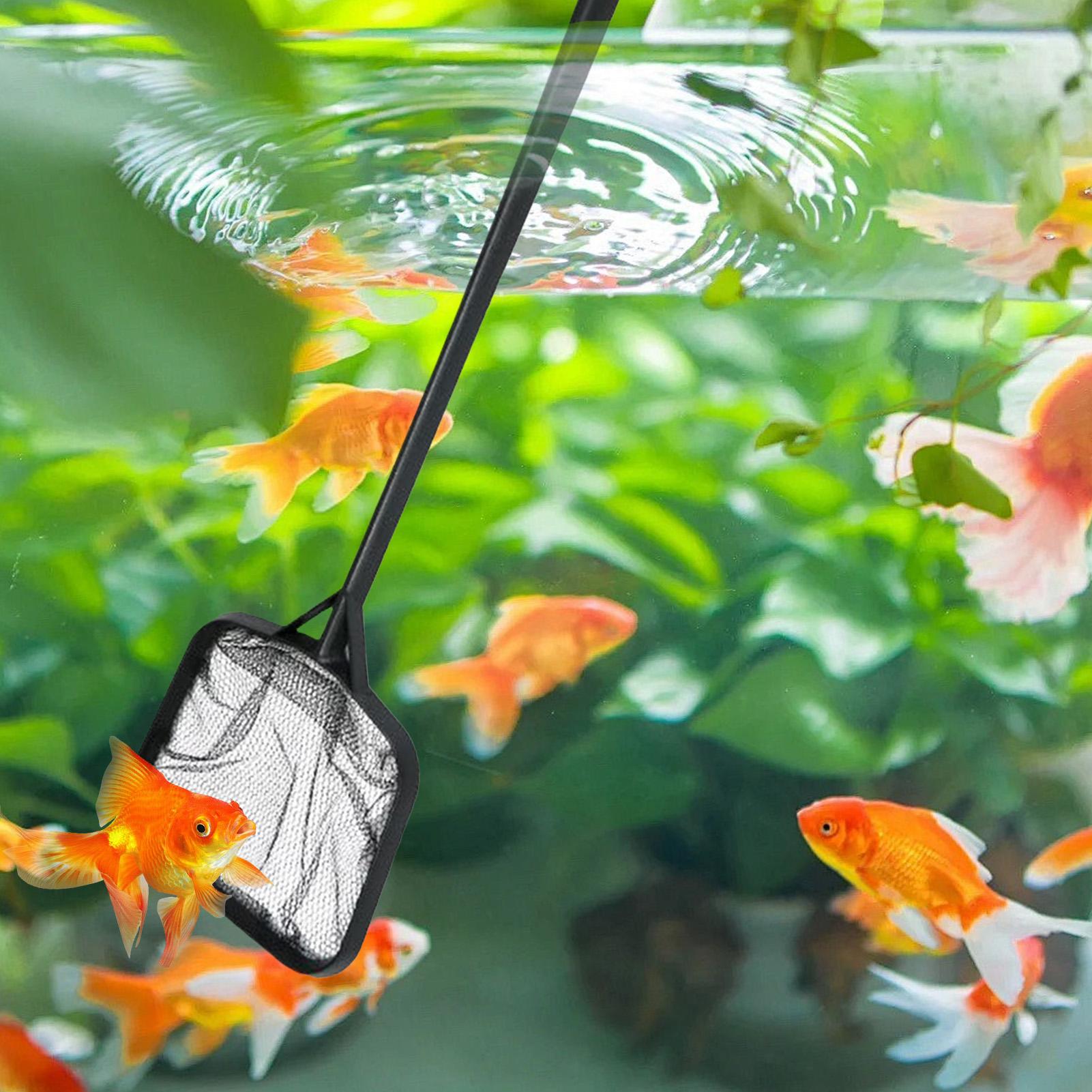 Filets de nettoyage pour pisci - Aquarium Fishing avis et prix