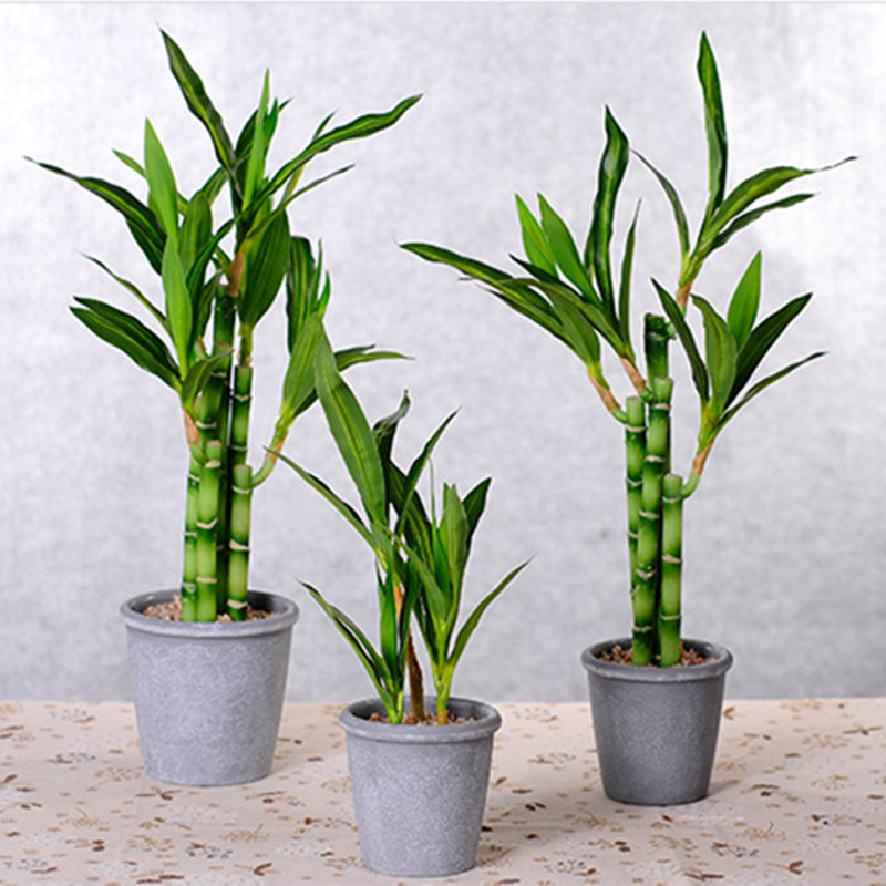 Nouvelle plante artificielle B - Aquarium Fish To Buy avis et prix