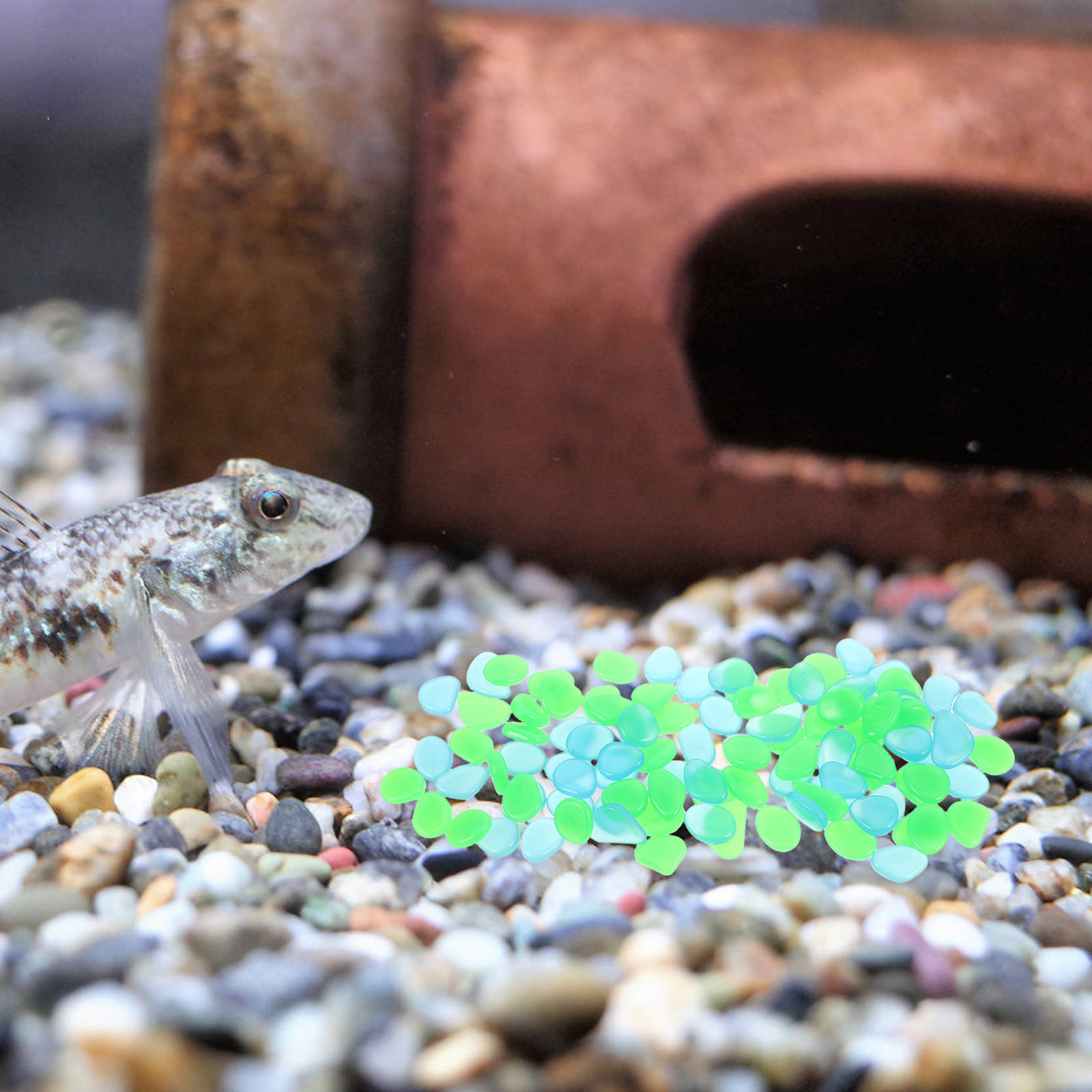 100 pièces de galets lumineux, - Aquarium Decoration Rock avis et prix