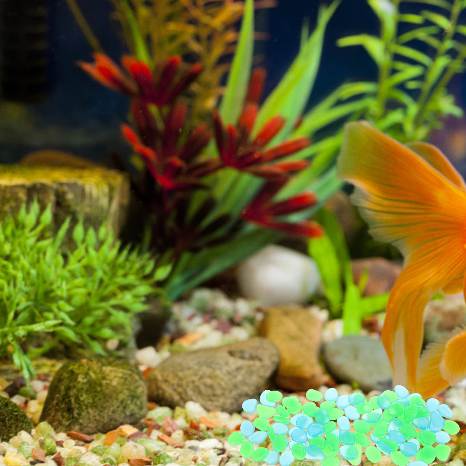 100 pièces de galets lumineux, - Aquarium Decoration Rock avis et prix