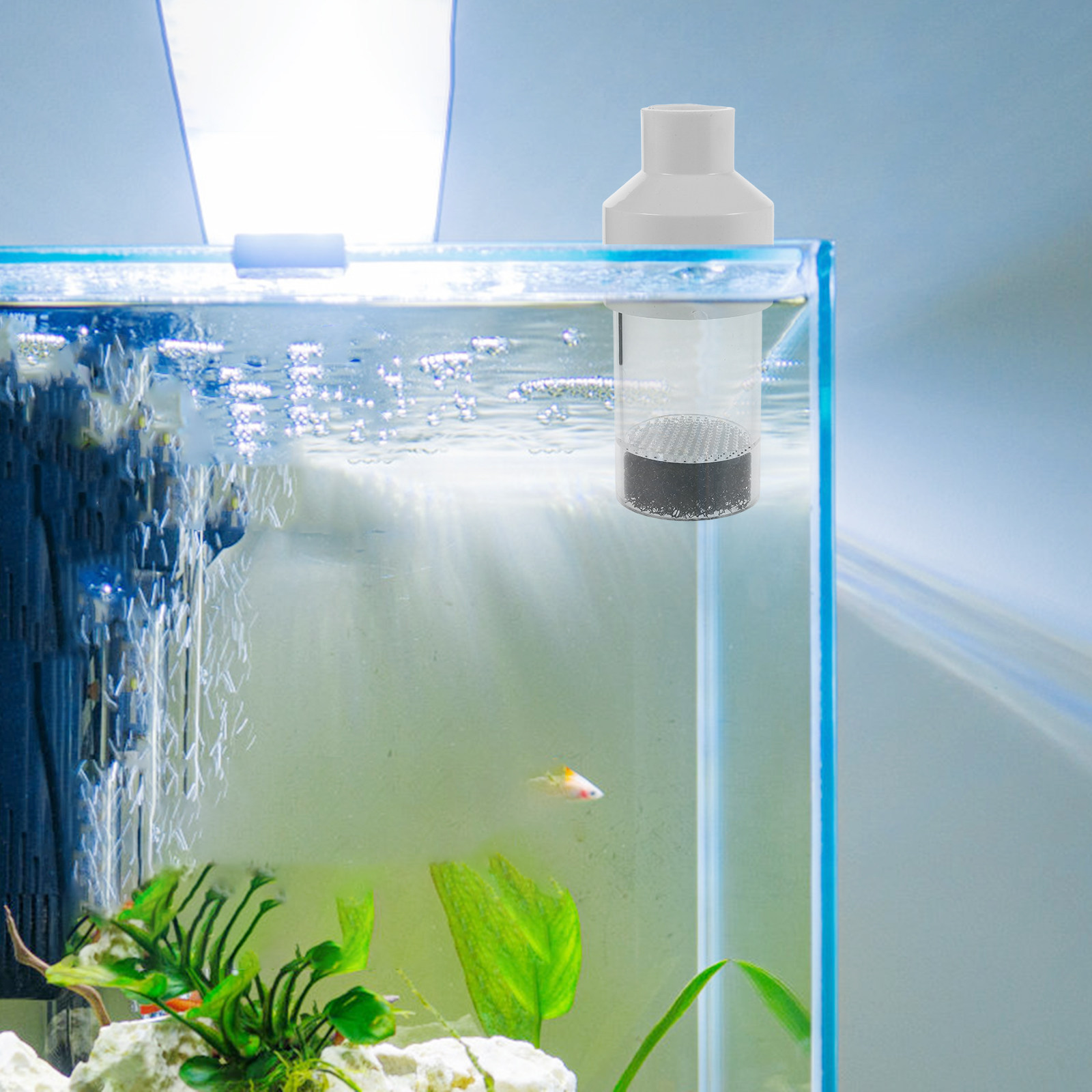 Incubateur d'écloserie pour po - Aquarium Fishes avis et prix
