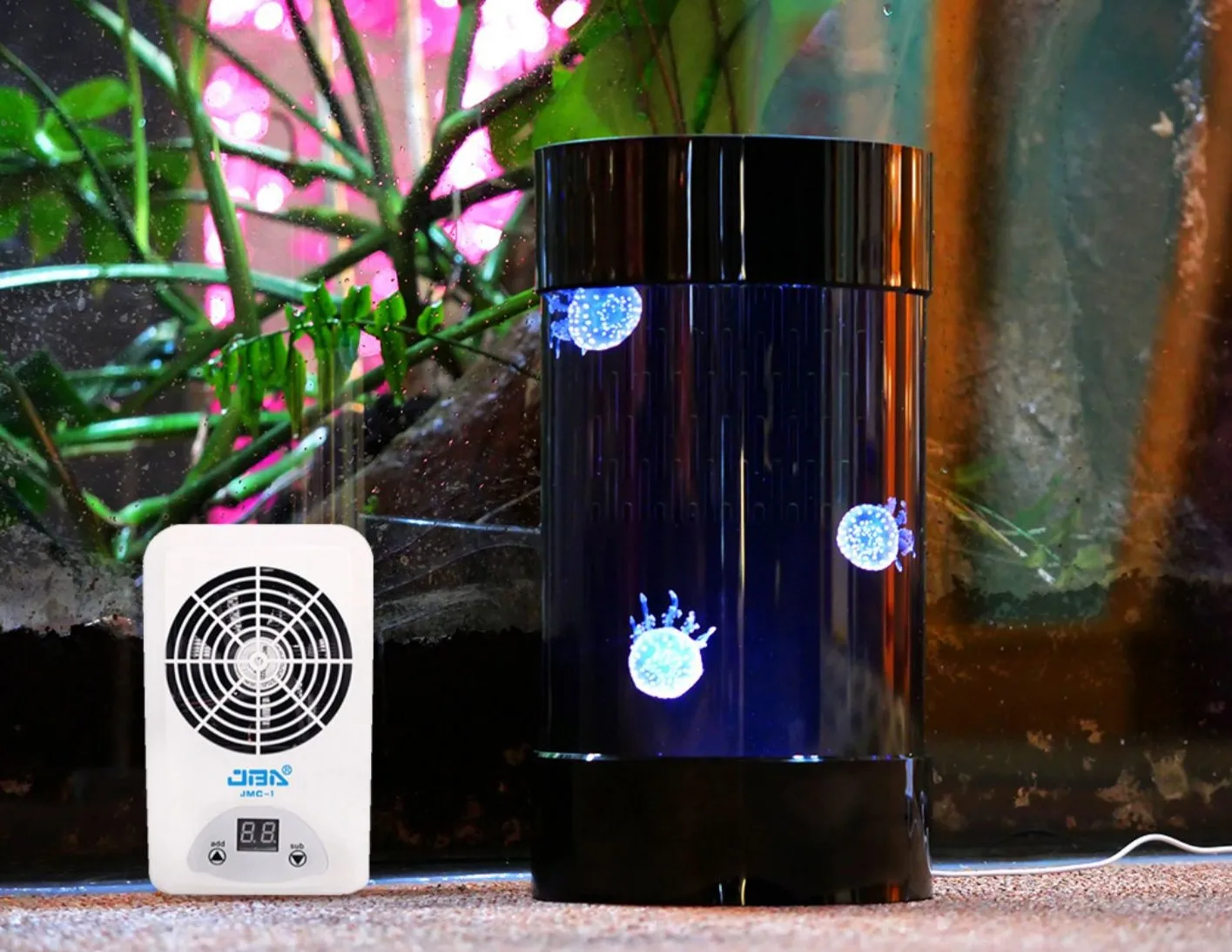 Meilleures ventes Amazon : Aqu - Aquarium Fish Amazon avis et prix