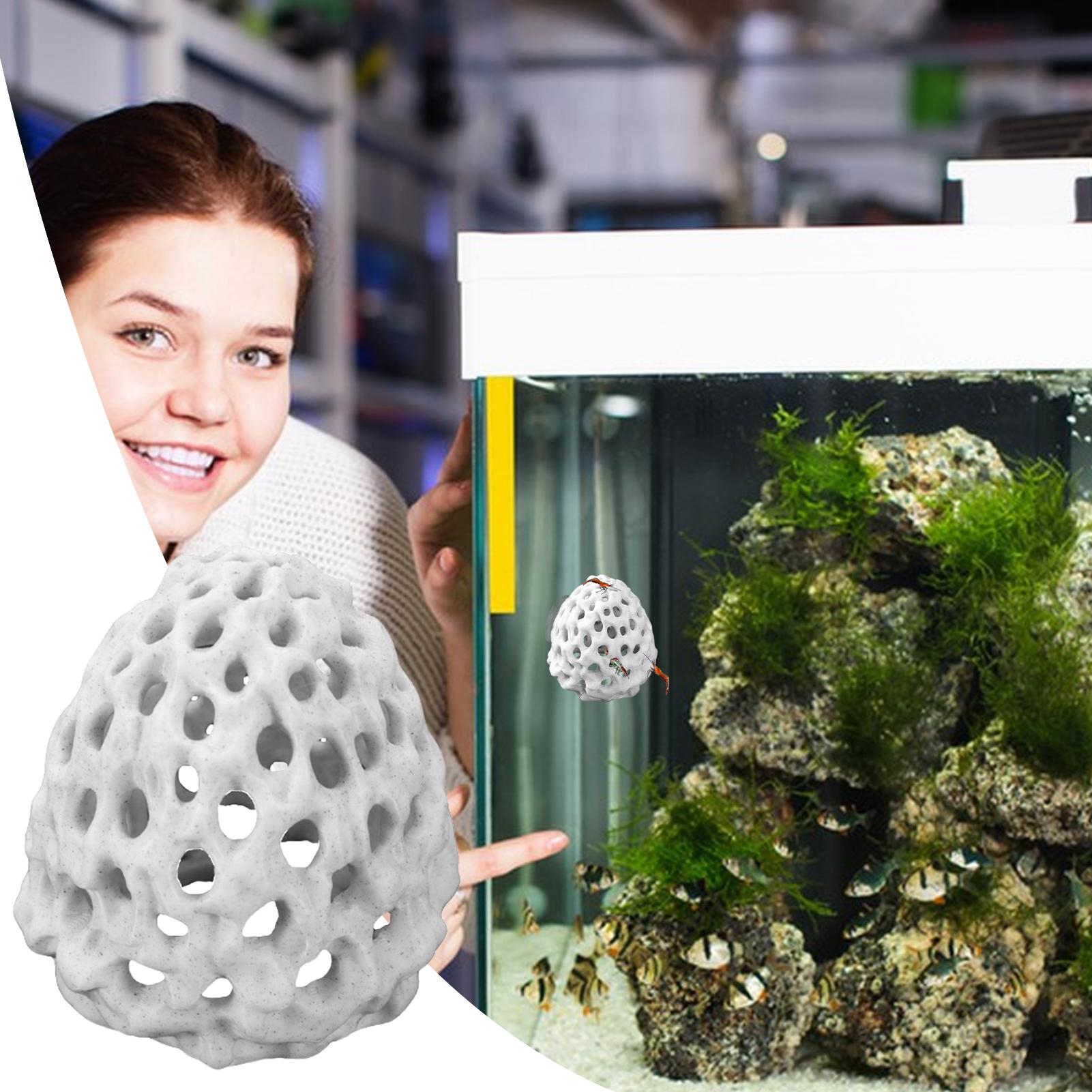 Mini-caverne poreuse pour crev - Aquarium Fish Hiding Spot avis et prix