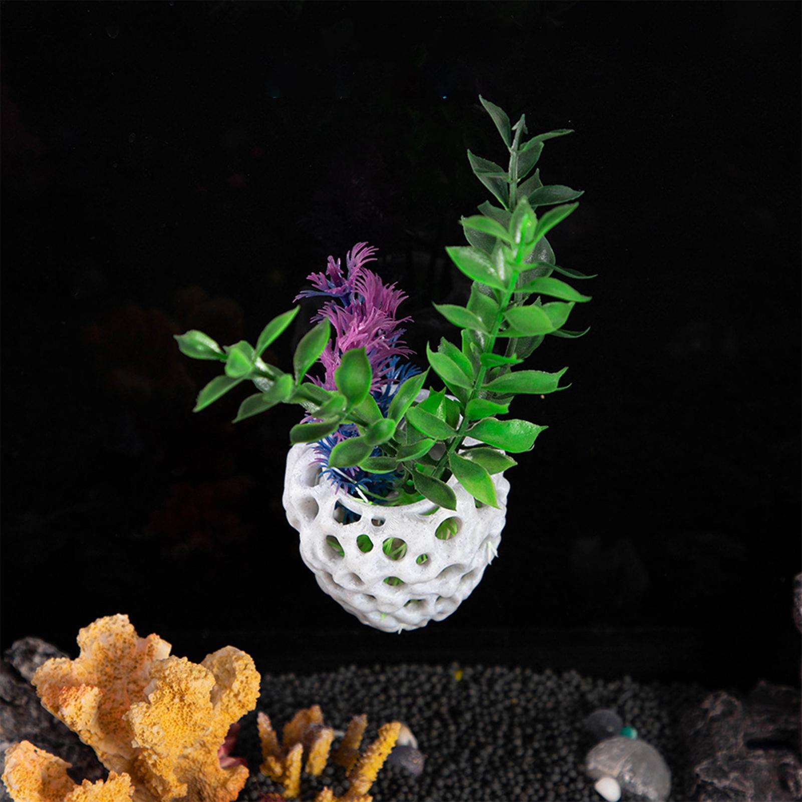 Mini-caverne poreuse pour crev - Aquarium Fish Hiding Spot avis et prix