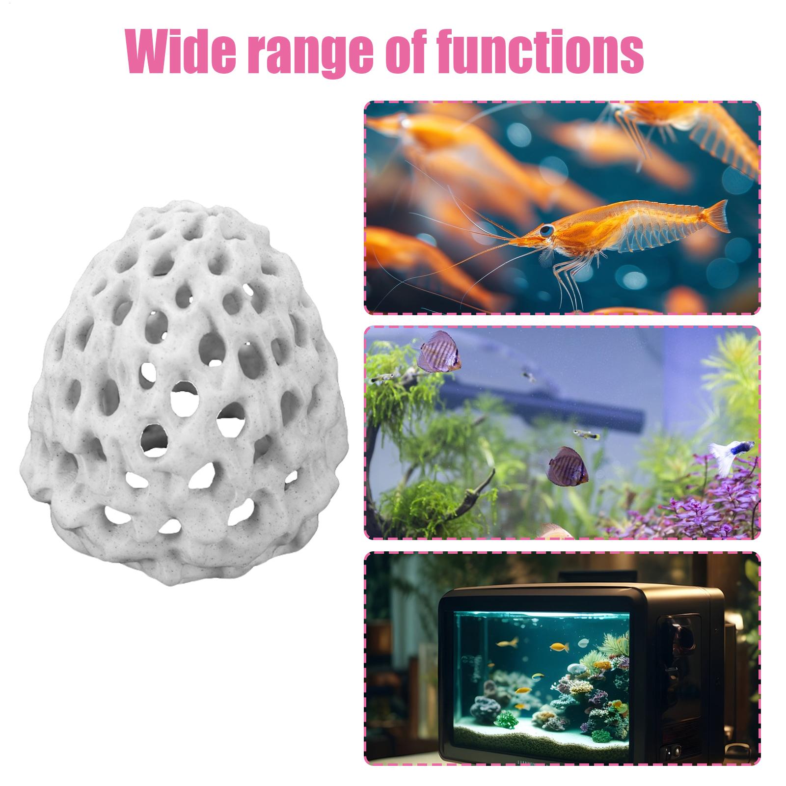 Mini-caverne poreuse pour crev - Aquarium Fish Hiding Spot avis et prix