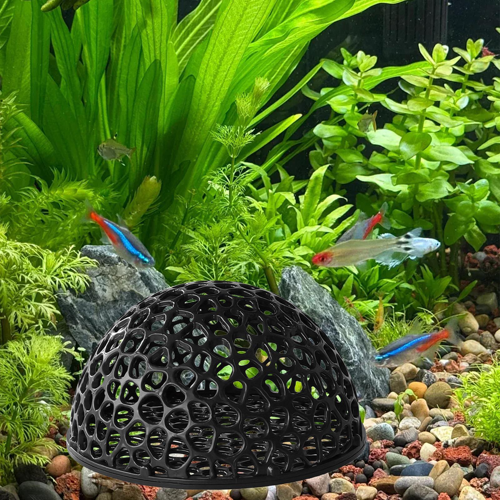 Caverne pour crevettes d'aquar - Aquarium Fish Hiding Spot avis et prix