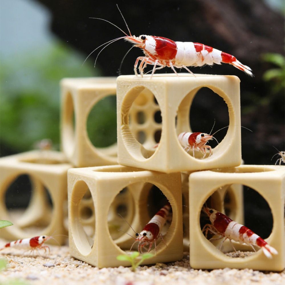 Abri pour crevettes d'aquarium - Aquarium Fish Hiding Spot avis et prix