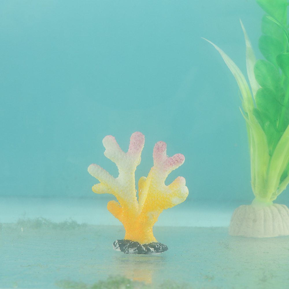 Ornements en résine d'étoile d - Aquarium Decoration Rock avis et prix
