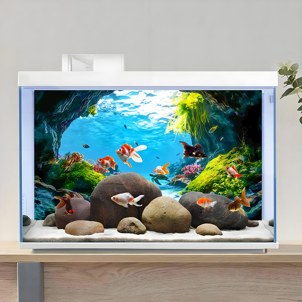 Paradis des tortues, peinture  - Aquarium Fish Paradise avis et prix