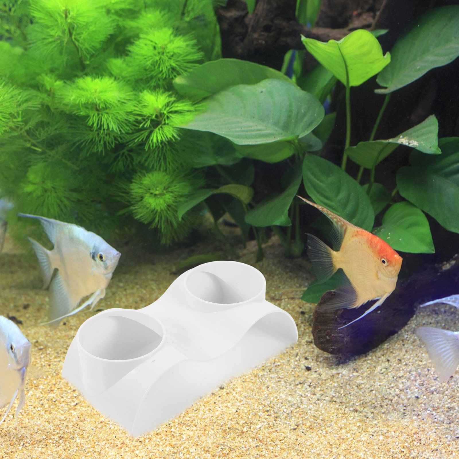 Décoration de tunnel de cave p - Aquarium Fish Hiding Spot avis et prix