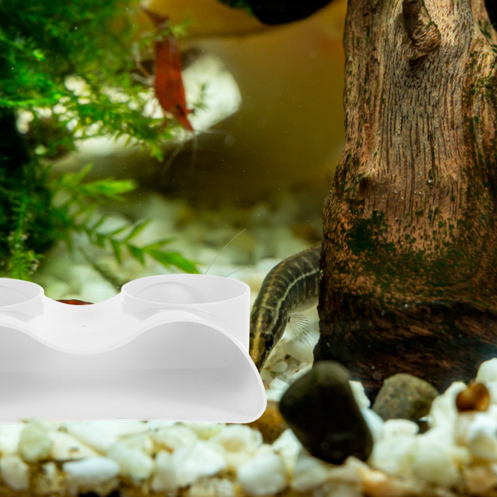 Décoration de tunnel de cave p - Aquarium Fish Hiding Spot avis et prix