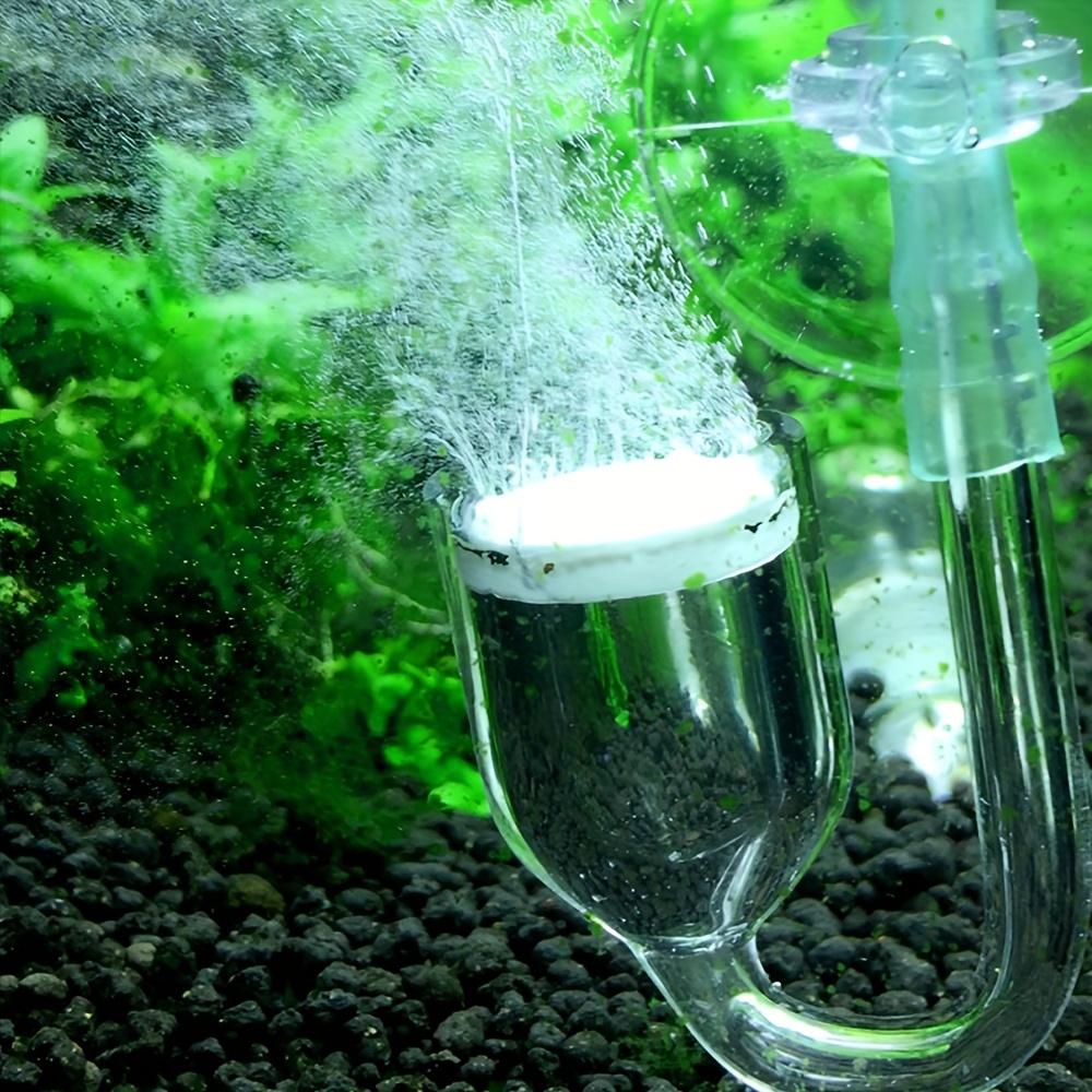 Diffuseur d'atomiseur de CO2 e - Aquarium Fish To Buy avis et prix