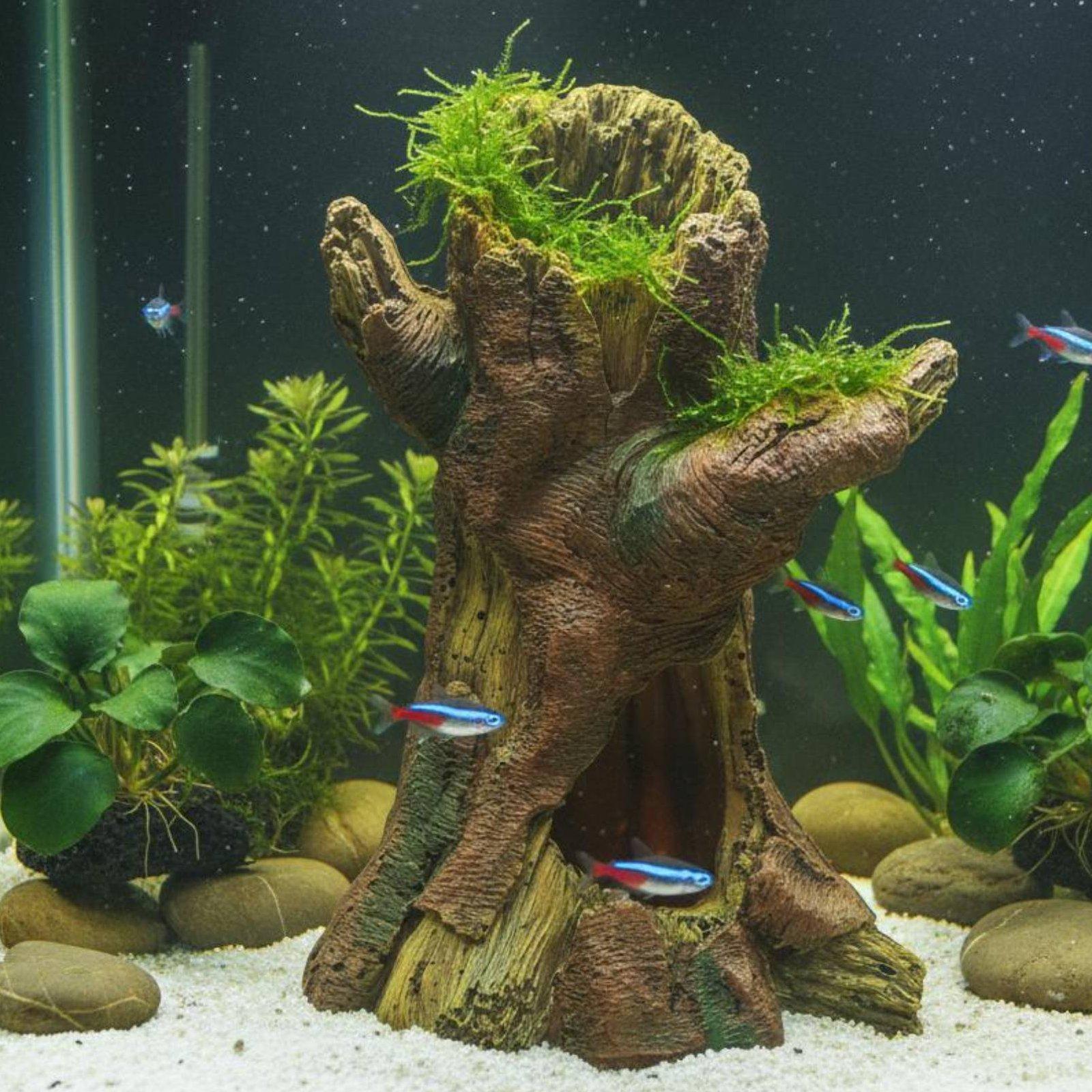 Décoration d'aquarium, décorat - Aquarium Fishes avis et prix