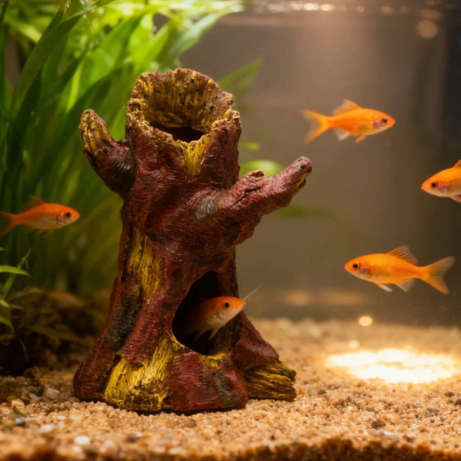 Décoration d'aquarium, décorat - Aquarium Fishes avis et prix