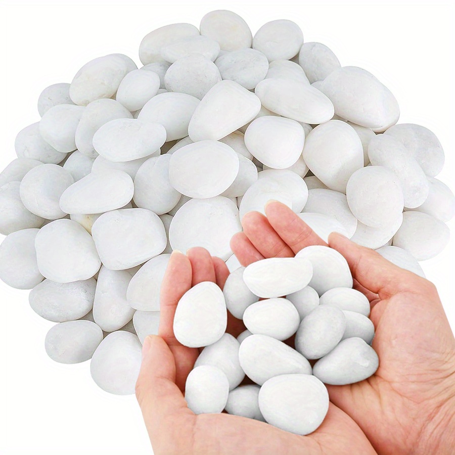 Cerfsets naturels blancs haute - Aquarium Decoration Rock avis et prix