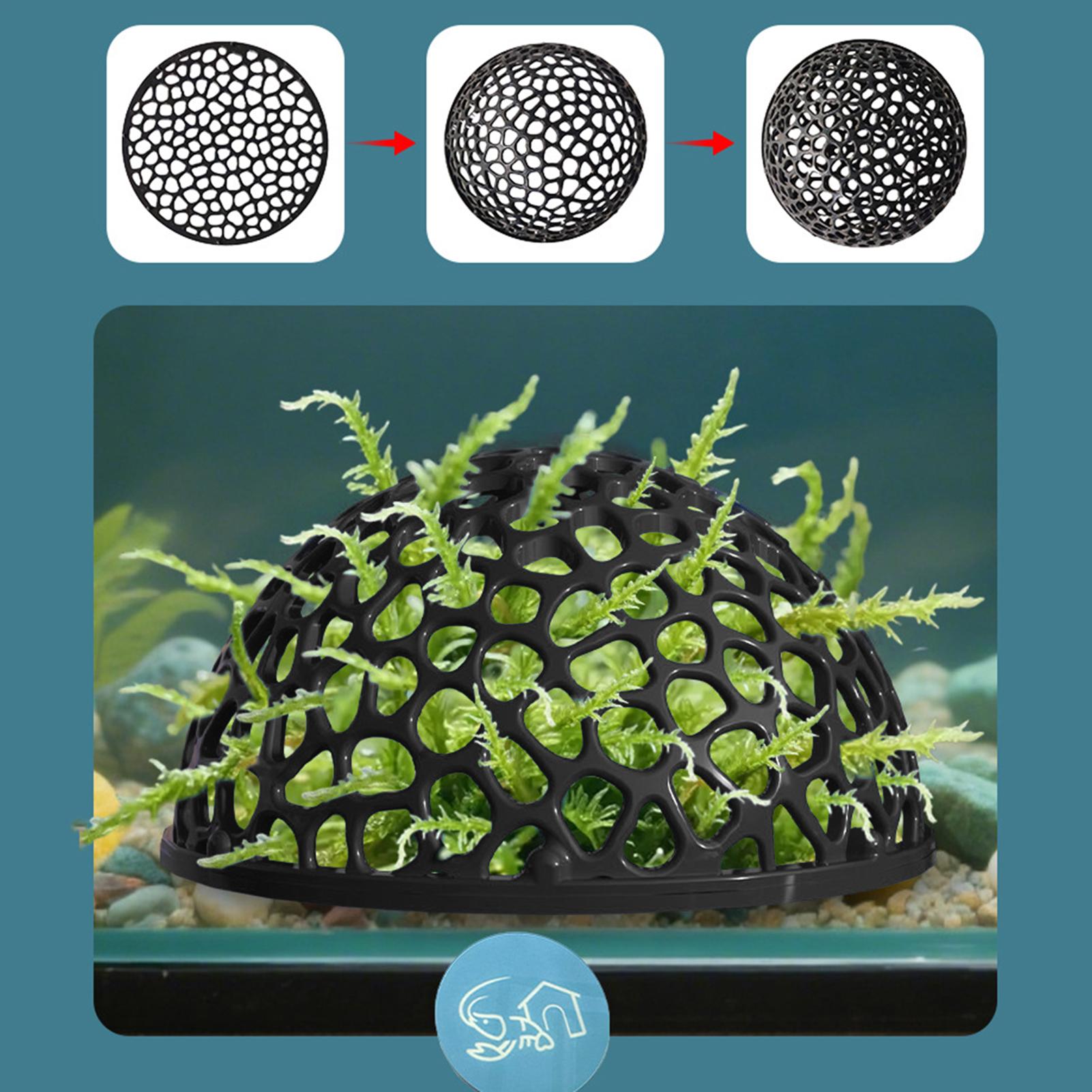 Cave pour crevettes d'aquarium - Aquarium Fish Hiding Spot avis et prix