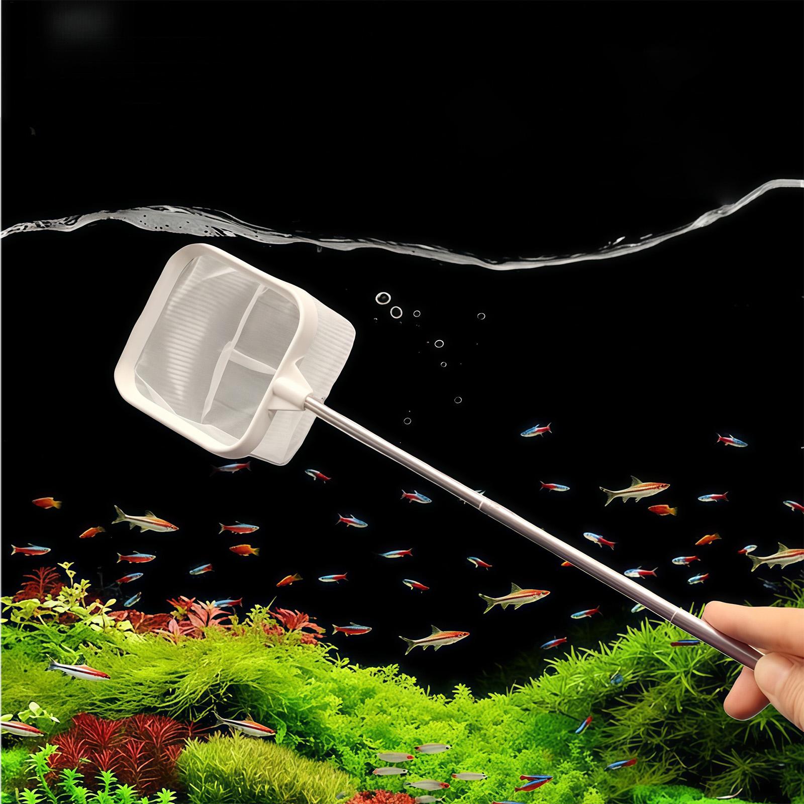 Épuisette à long manche extens - Aquarium Fish Long avis et prix