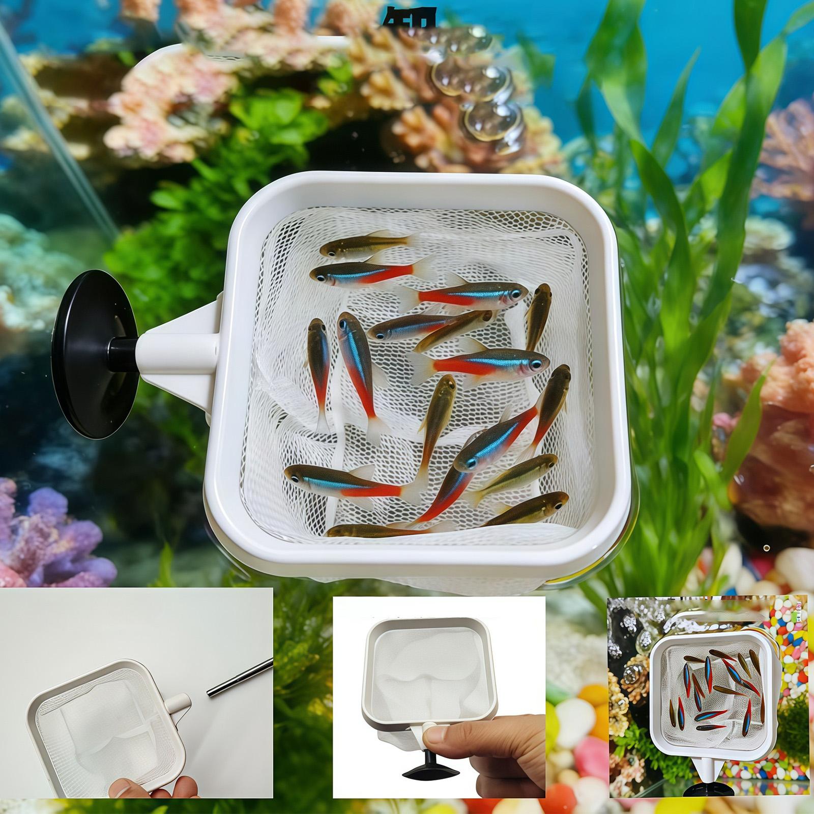 Épuisette à long manche extens - Aquarium Fish Long avis et prix