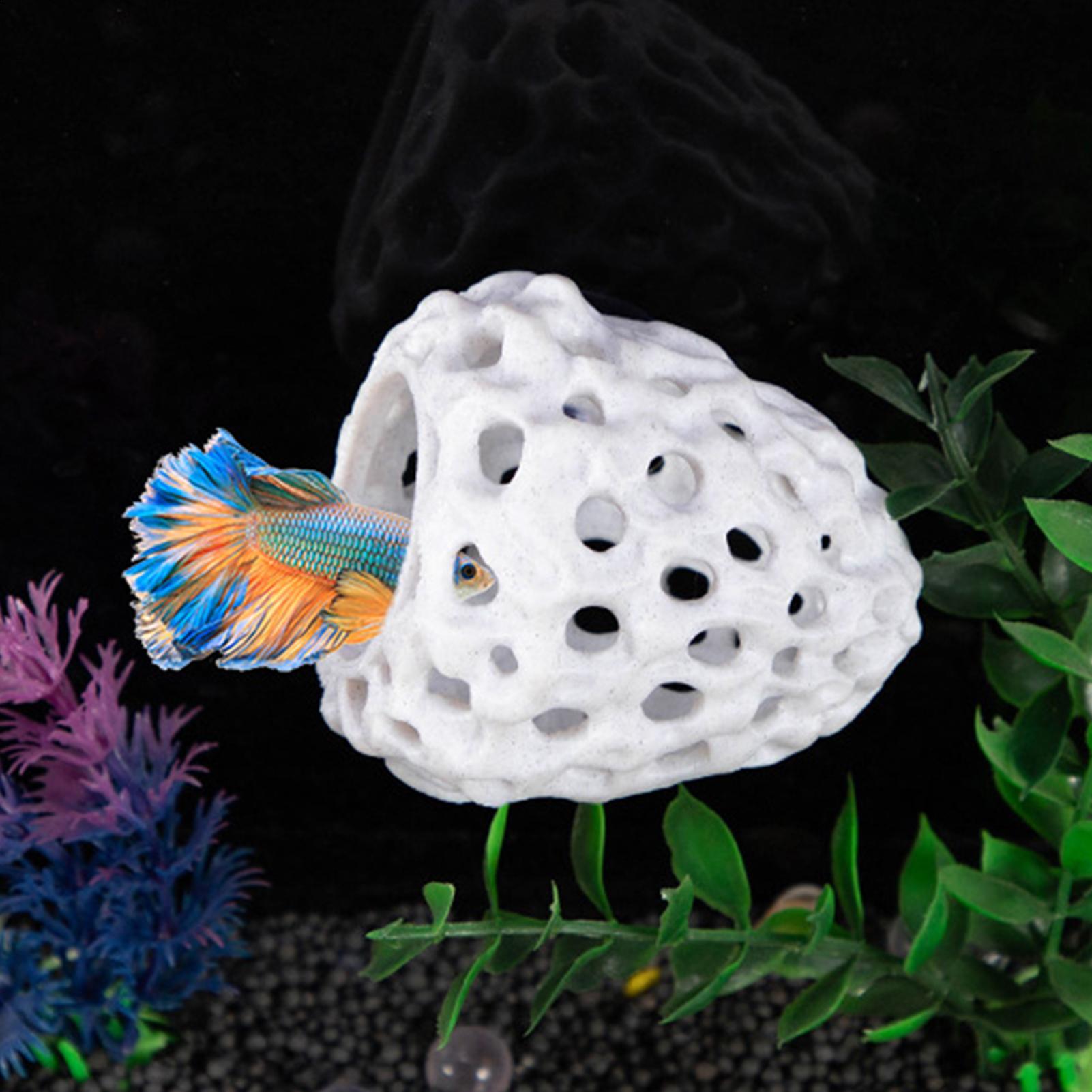 Aquarium crevettes maison grot - Aquarium Fish Hiding Spot avis et prix