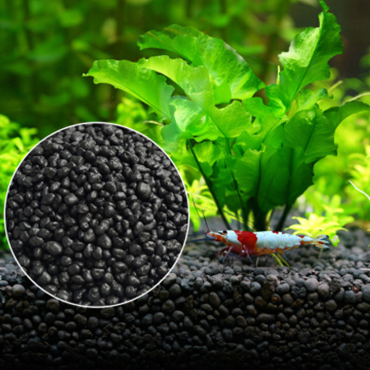 Sol de graines de plantes d'aq - Aquarium Fish To Buy avis et prix