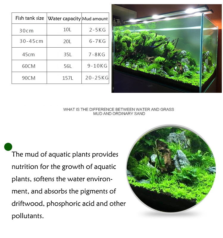 Sol de graines de plantes d'aq - Aquarium Fish To Buy avis et prix