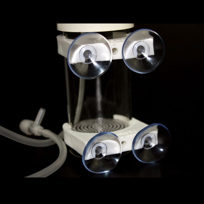 Incubateur pour œufs de cichli - Aquarium Fishes avis et prix