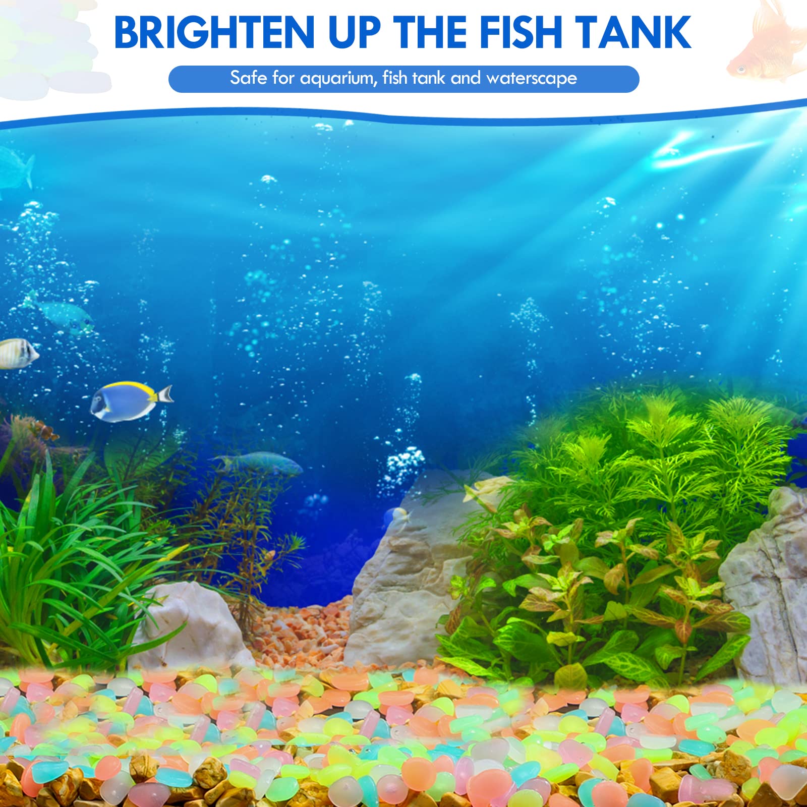 100 pièces brillent dans le no - Aquarium Decoration Rock avis et prix