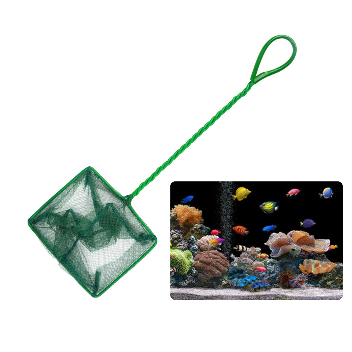 Filet à poisson vert Portable  - Aquarium Fish Long avis et prix