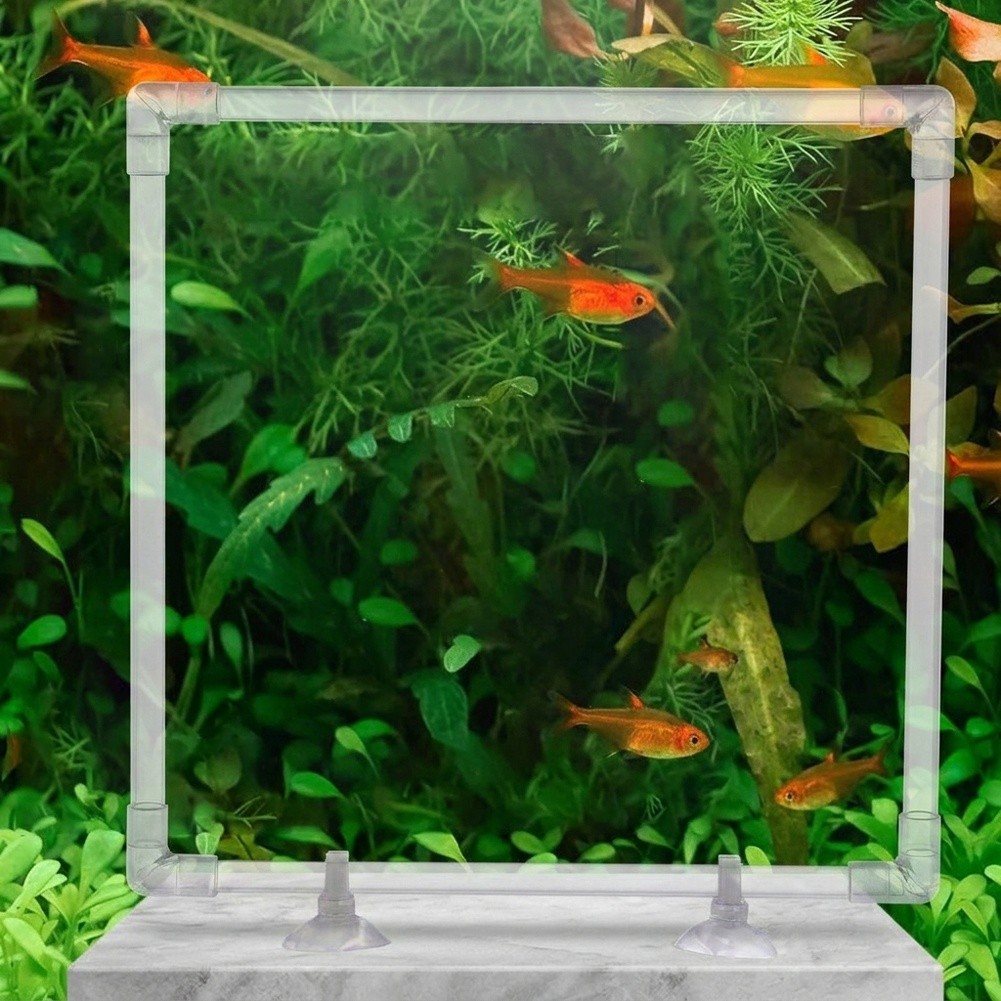 Enclos flottant pour plantes d - Aquarium Fish Zone avis et prix