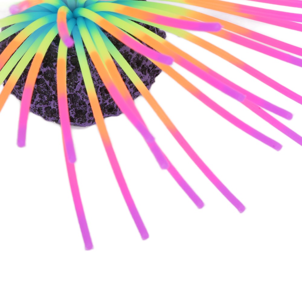 Corail en silicone coloré pour - Aquarium Fish Rainbow avis et prix
