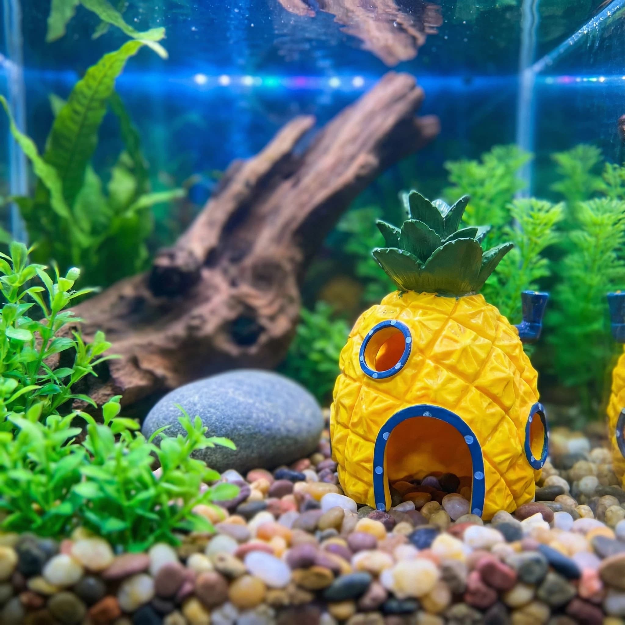 Décoration d'aquarium Pineappl - Aquarium Fish Hide avis et prix
