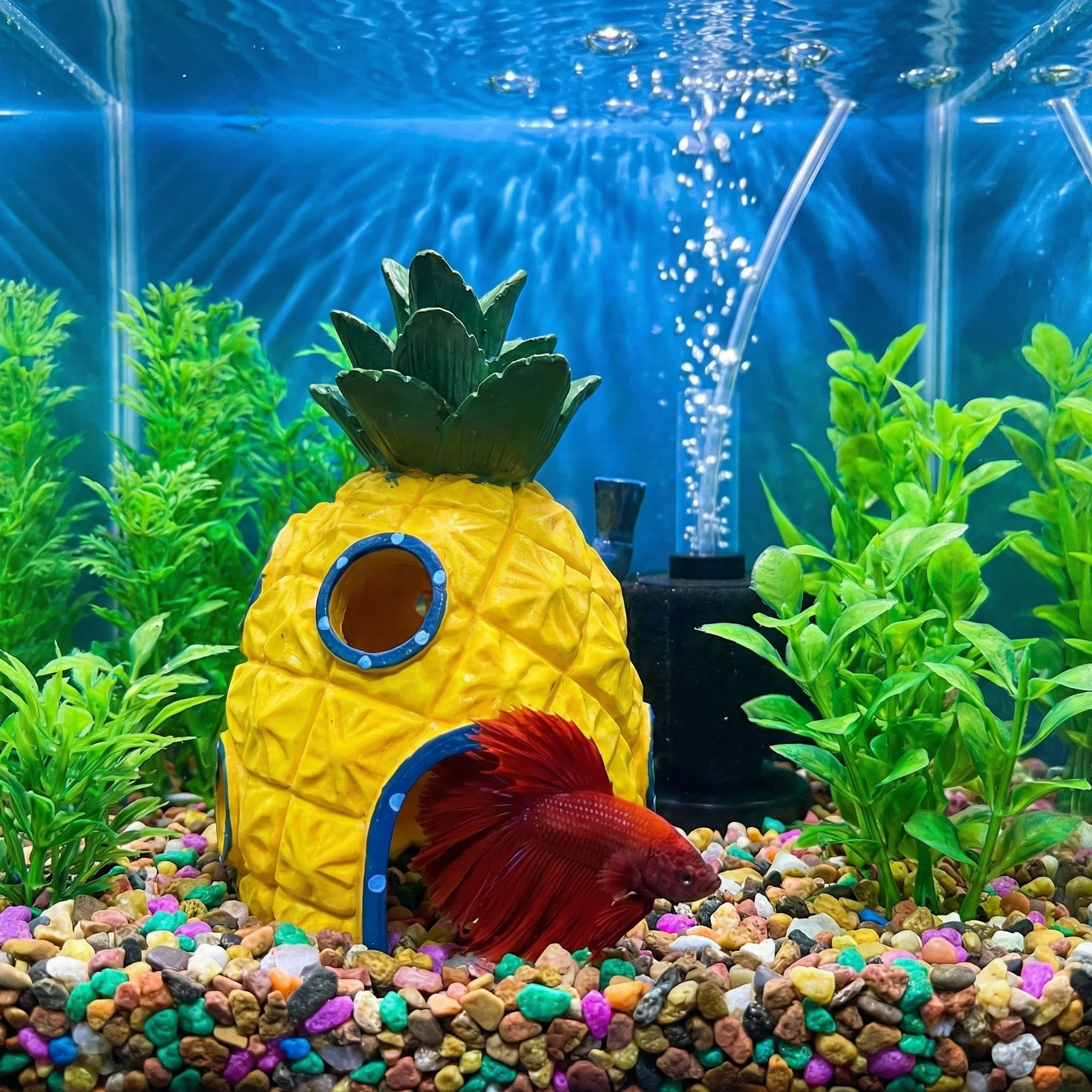 Décoration d'aquarium Pineappl - Aquarium Fish Hide avis et prix