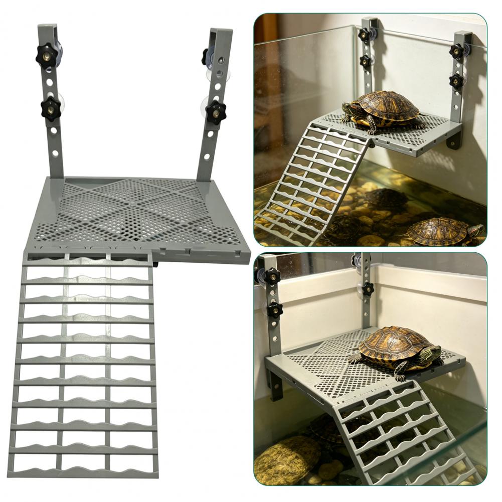Décoration d'aquarium, platefo - Aquarium Fish Farm avis et prix