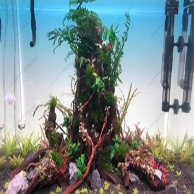Panneau de fond pour aquarium  - Aquarium Fish Rainbow avis et prix