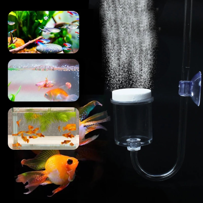 Diffuseur de CO2 pour aquarium - Aquarium Fish To Buy avis et prix