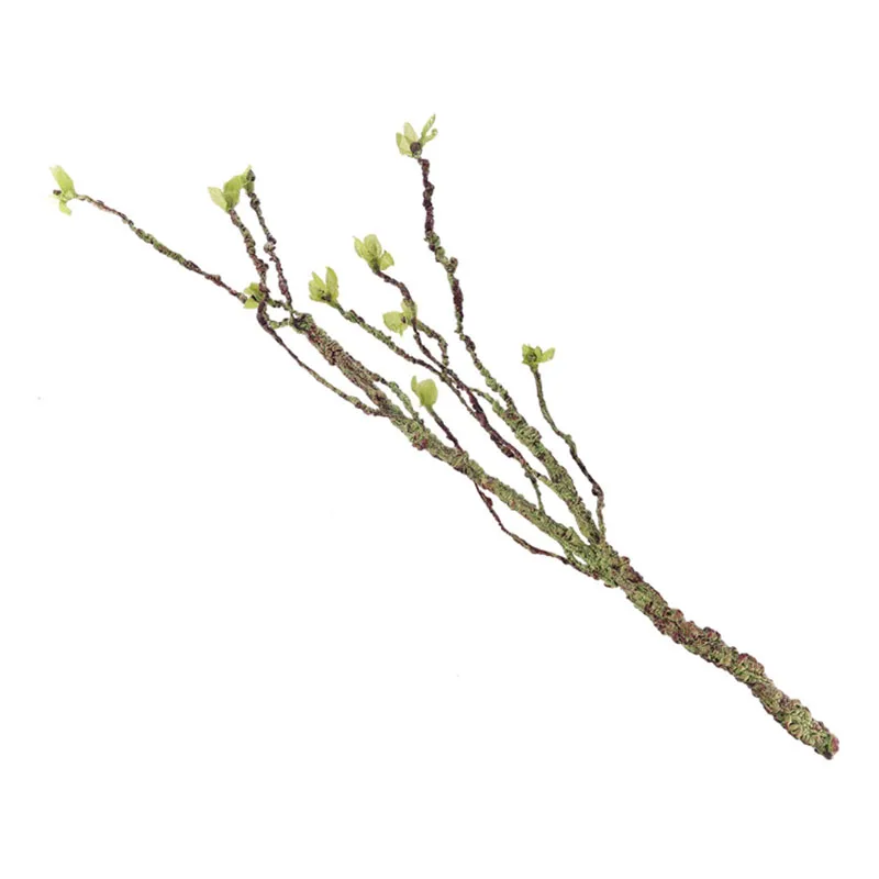 Vignes décor Branches d'escala - Aquarium Fish To Buy avis et prix