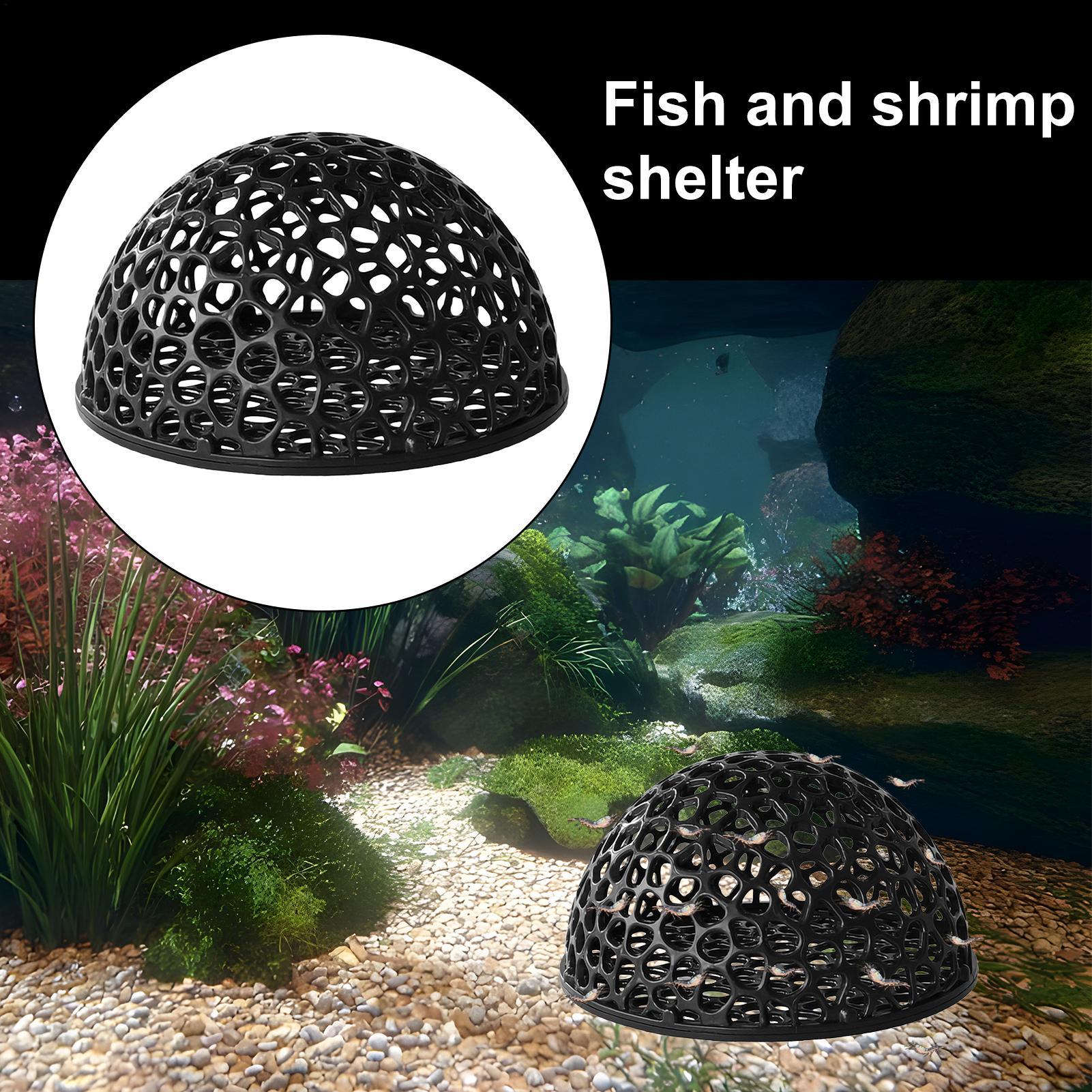 Cave pour crevettes d'aquarium - Aquarium Fish Hiding Spot avis et prix