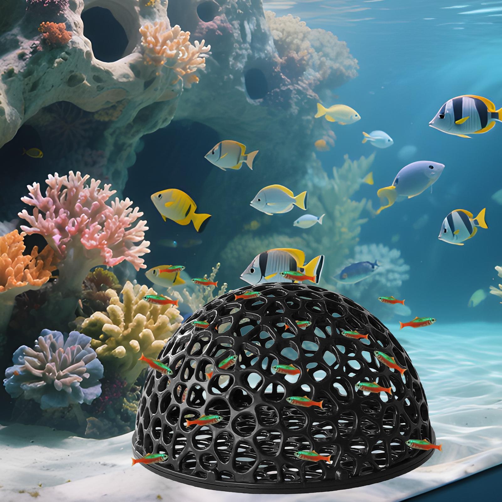 Cave pour crevettes d'aquarium - Aquarium Fish Hiding Spot avis et prix