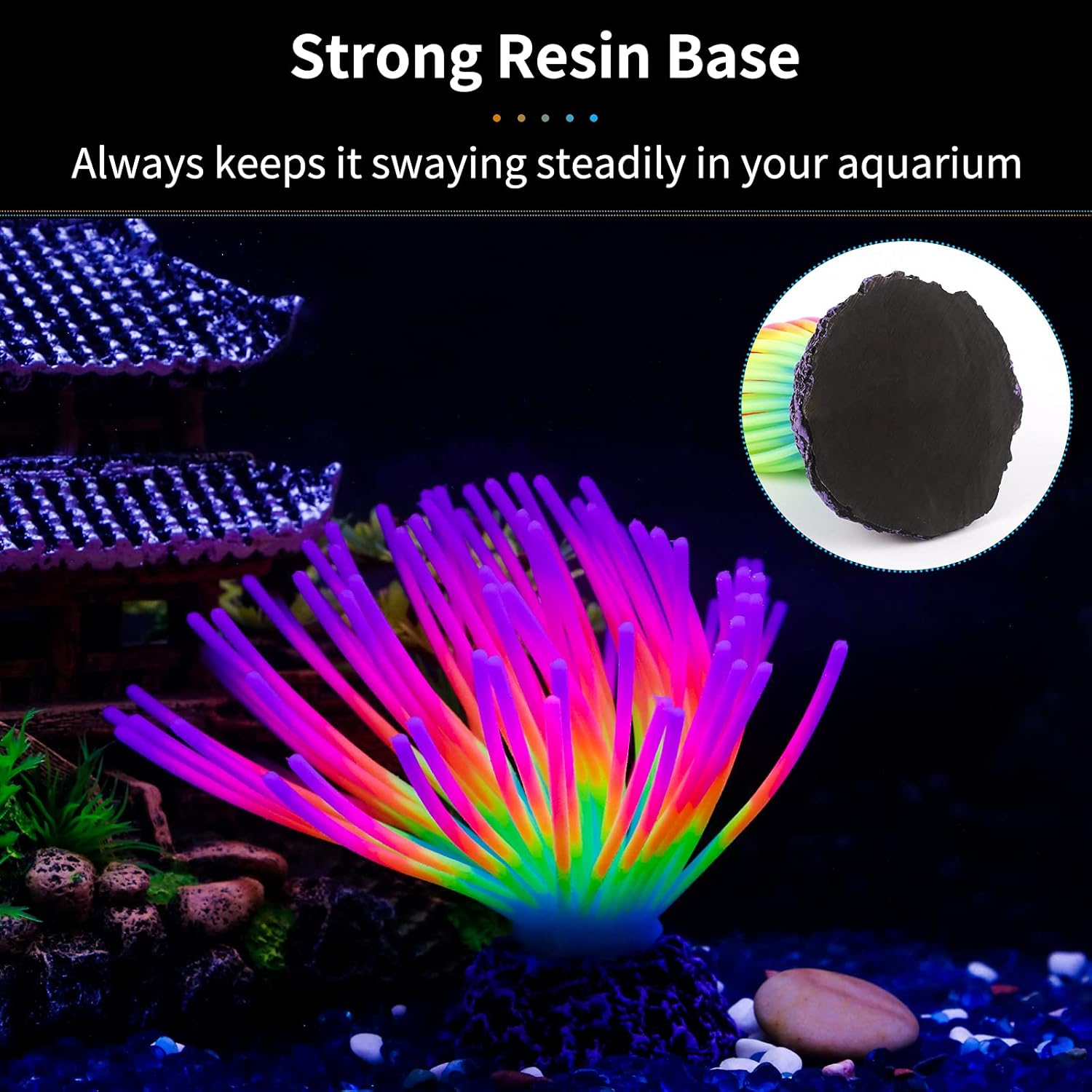 Boule d'ormeau arc-en-ciel imi - Aquarium Fish Rainbow avis et prix